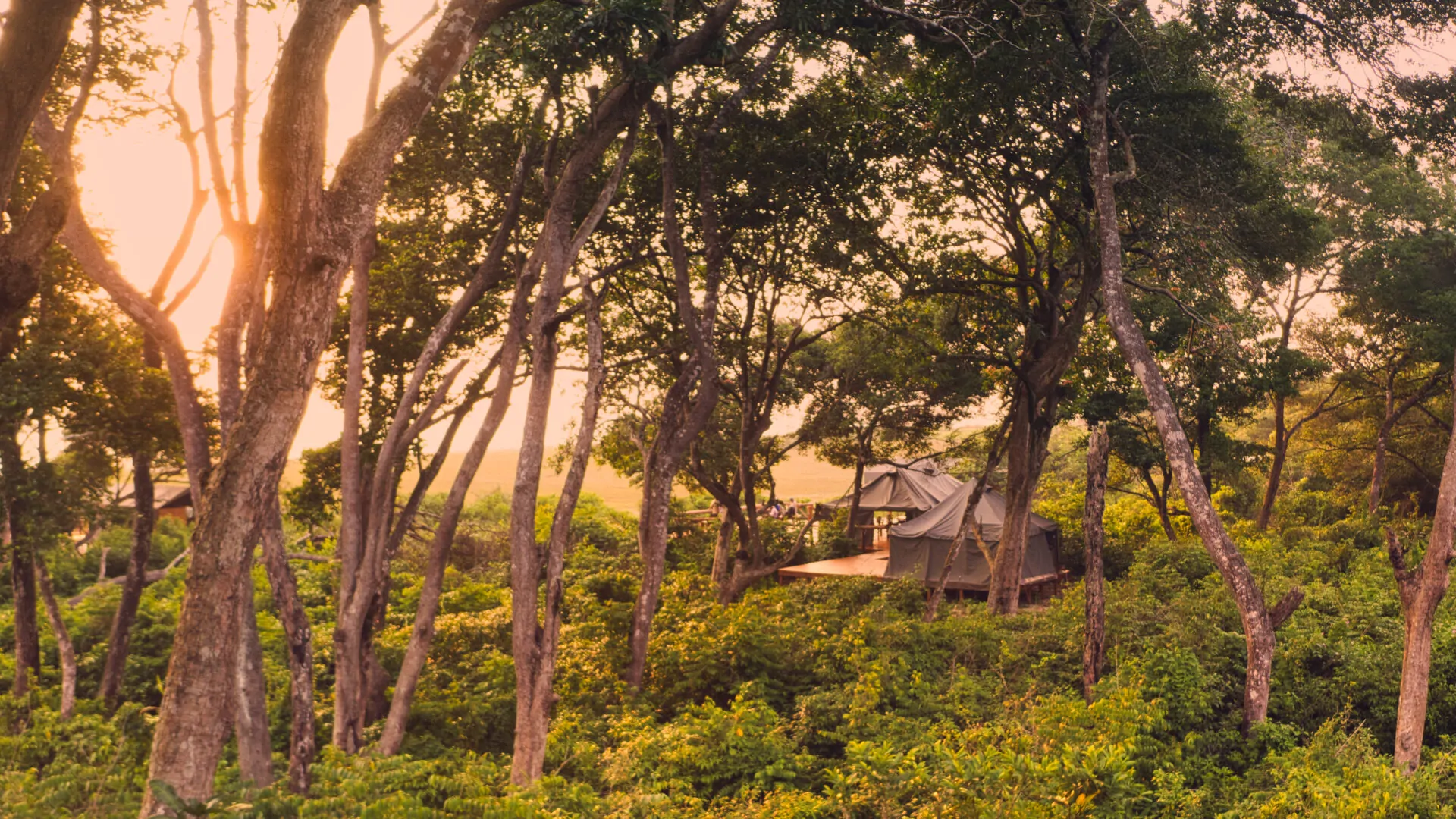 Nyanga Lodge